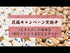 生チョコくまカロン🧸【全国配送対応】